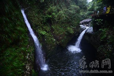 缤纷水果茶