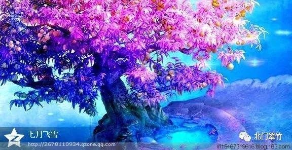 《蜗居》大结局揭秘:海藻500万给宋太,求海藻谅解!